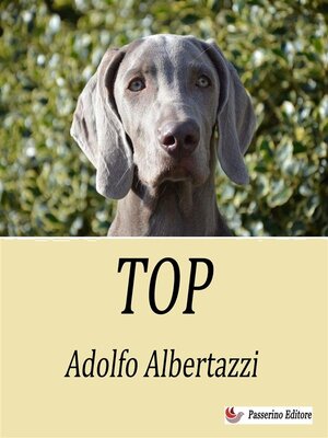 cover image of Top